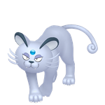 猫老大-阿罗拉的样子