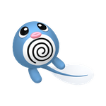 蚊香蝌蚪