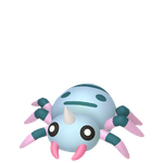 圆丝蛛