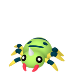 圆丝蛛