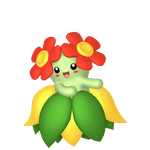美丽花