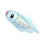 麻麻小鱼