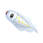 麻麻小鱼