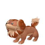 麻花犬