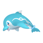 波普海豚